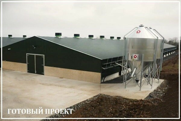 Этапы возведения птицефабрики от завода ВелесТент-бнк